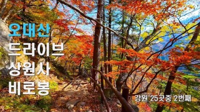 가을 단풍 등산코스 추천, 오대산 상원사 적별보궁 비로봉 강원 100대 명산 가을 트래킹 가볼만한곳