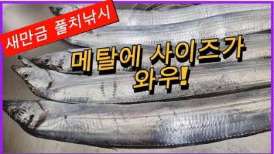 군산 새만금방조제 너울쉼터 풀치 메탈루어낚시 포인트 및 조황정보