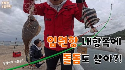 삼척 임원항 돌돔, 고등어, 도다리 낚시포인트, 삼척 바다낚시 가볼만한곳 추천