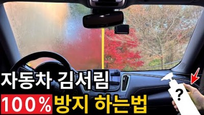 자동차 김서림 제거하는 생활용품 추천