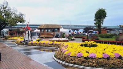대구 다사 사문진주막촌 국화 가을풍경 산책하기 좋은 대구 가볼만한곳
