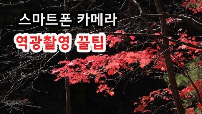 스마트폰 역광촬영 방법 및 스마트폰 카메라 간단 조작으로 멋진 사진 찍는법